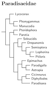 Click for Birds-of-paradise tree