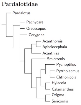 Pardalotidae