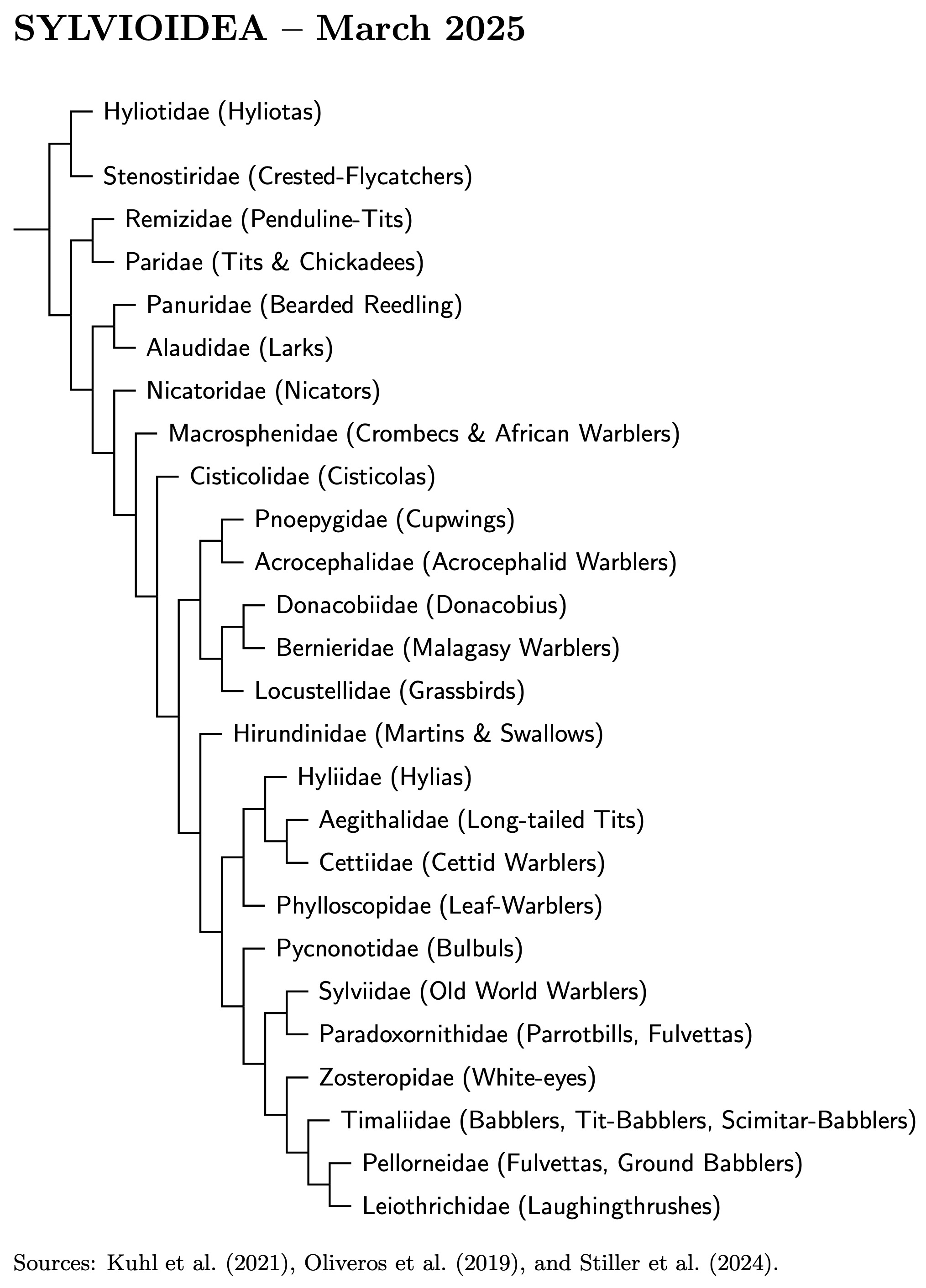 Sylvioidea family tree