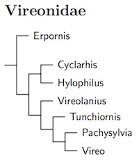 Click for Vireonidae species tree
