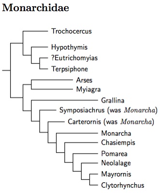 Monarchidae