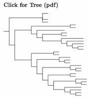 Click for Piciformes tree