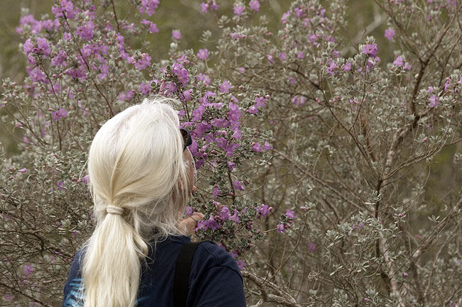 [Susan smells the flowers]