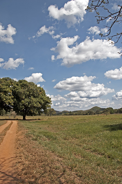 [Hato Piñero Ranch]