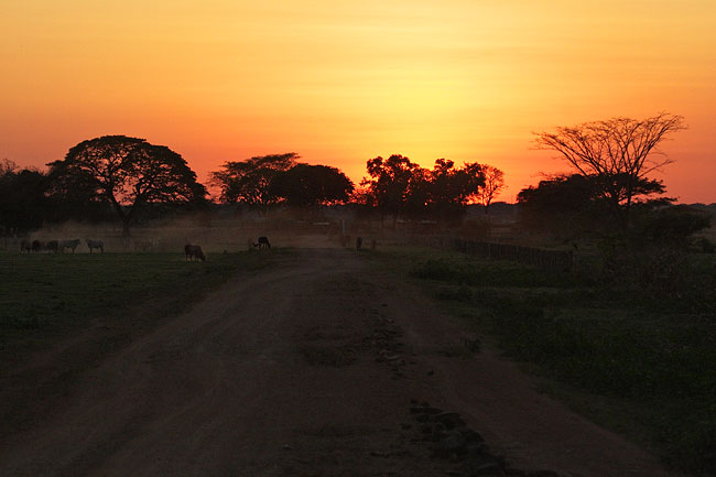 [Sunset at Hato Piñero]