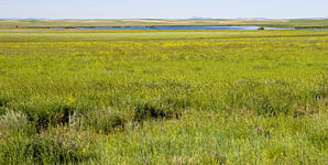 Benton Lakes NWR