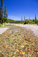 Crossing Dry Fork