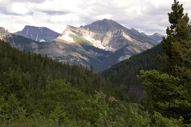 [Akamina Parkway View]