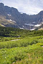 Towards Iceberg Lake