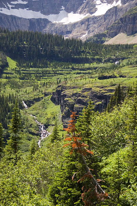 [View toward Iceberg Lake]