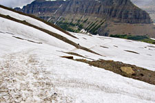 Snow-covered Trail