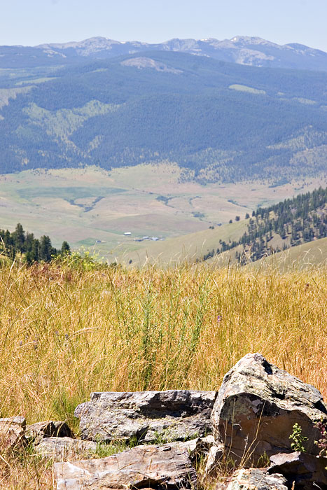 [National Bison Range]