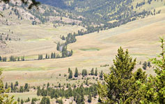 Hellroaring Creek Drainage