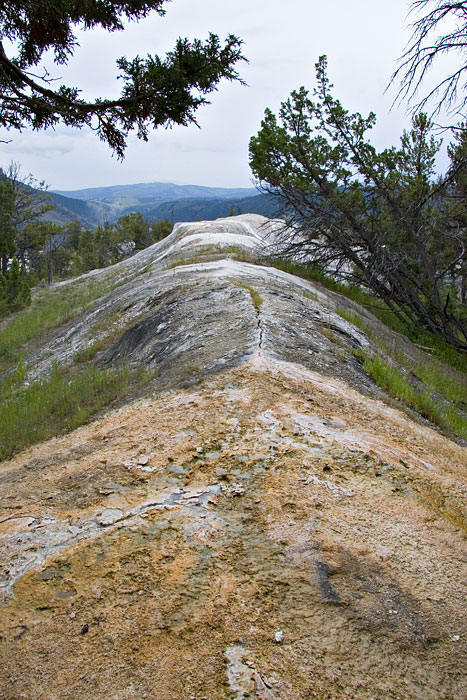 [Narrow Gauge Terrace]