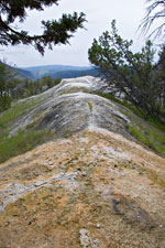 Narrow Gauge Terrace