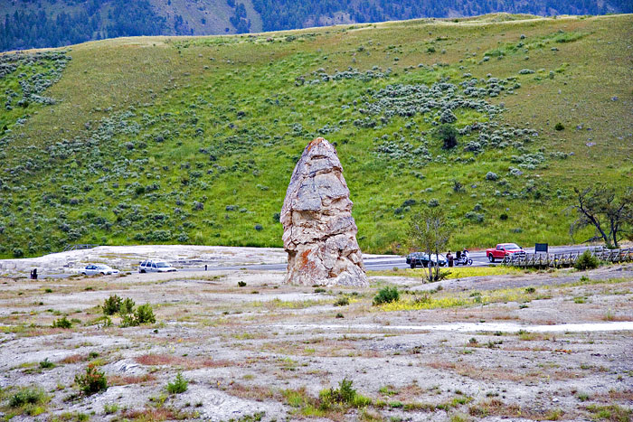 [Liberty Cap]