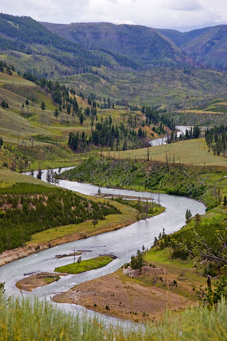 [Yellowstone Meander]