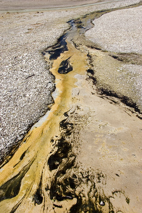 [Outflow Stream at Norris]