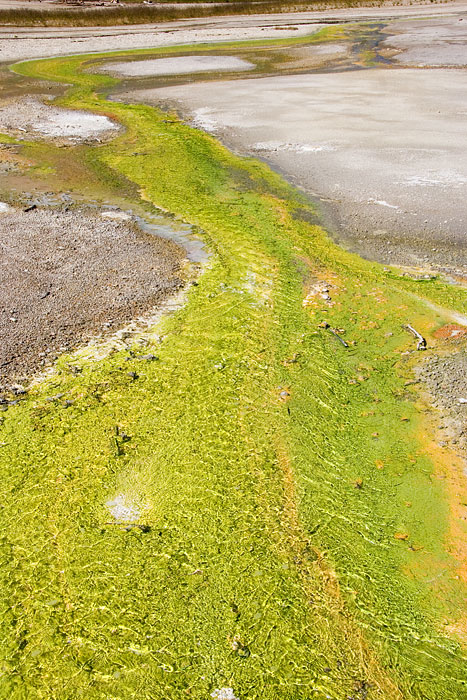 [Green Outflow at Norris]