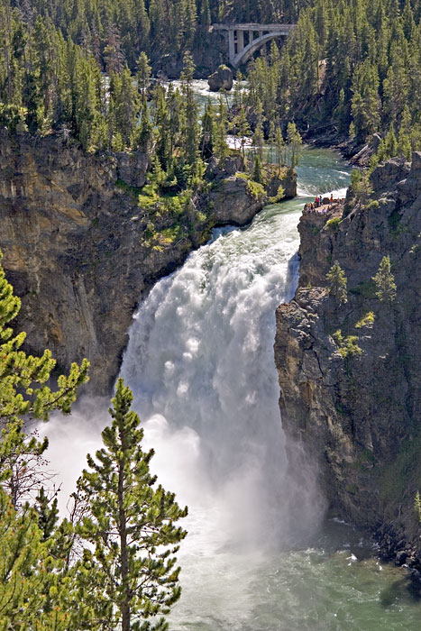 [Upper Falls of the Yellowstone]