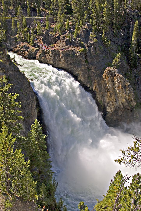 [Upper Falls of the Yellowstone]