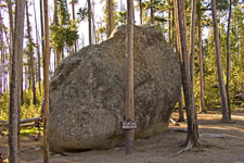 Glacial Boulder