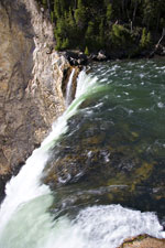 Brink of the Lower Falls