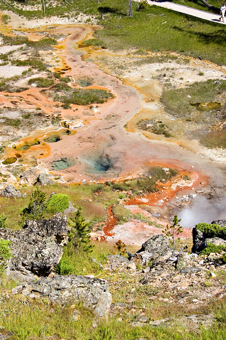 [View from Upper Trail]