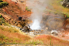Geyser