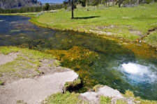 Terrace Spring