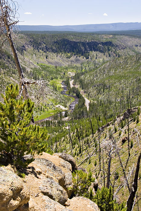 [Gibbon River Canyon]