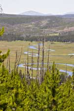 Gibbon River