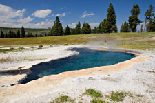 White Dome Geyser