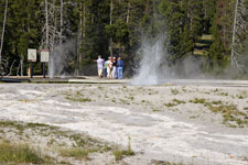 Penta and Sawmill Geysers