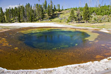 Beauty Pool