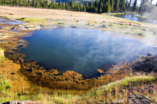 Black Opal Pool