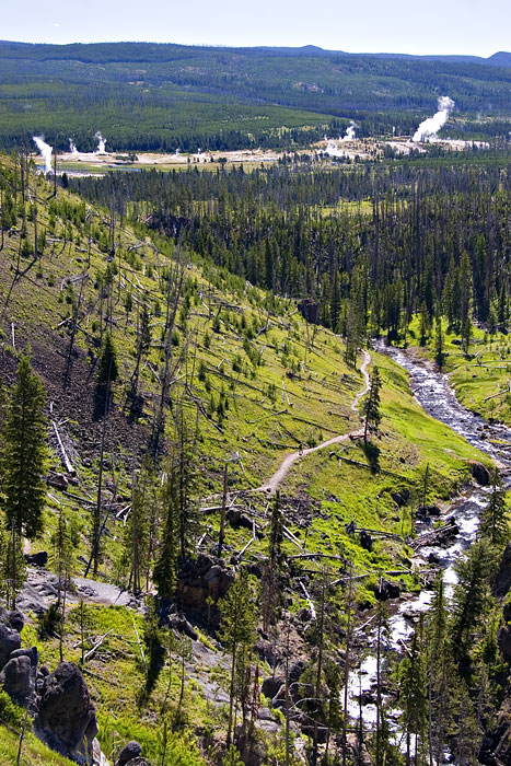 [View of Upper Geyser Basin]