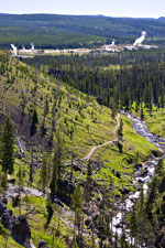 View of Upper Geyser Basin