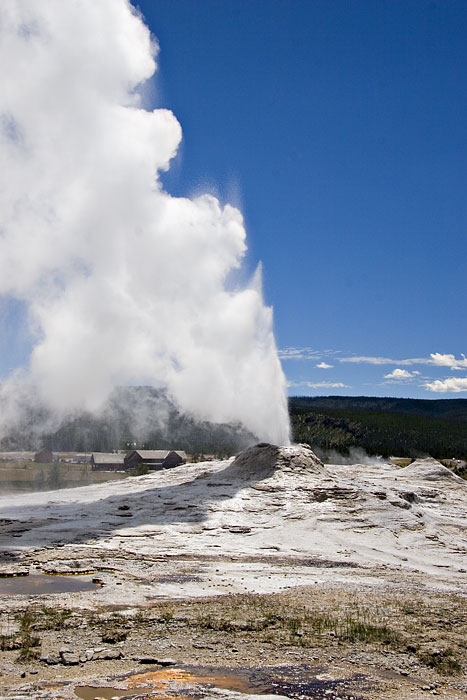 [Lion Geyser]