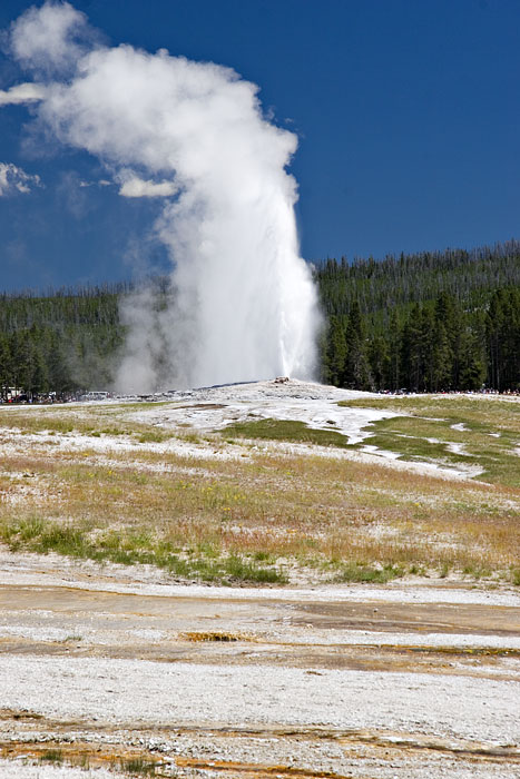 [Old Faithful Geyser]