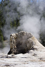 Giant Geyser