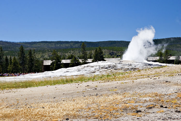 [Old Faithful Geyser]