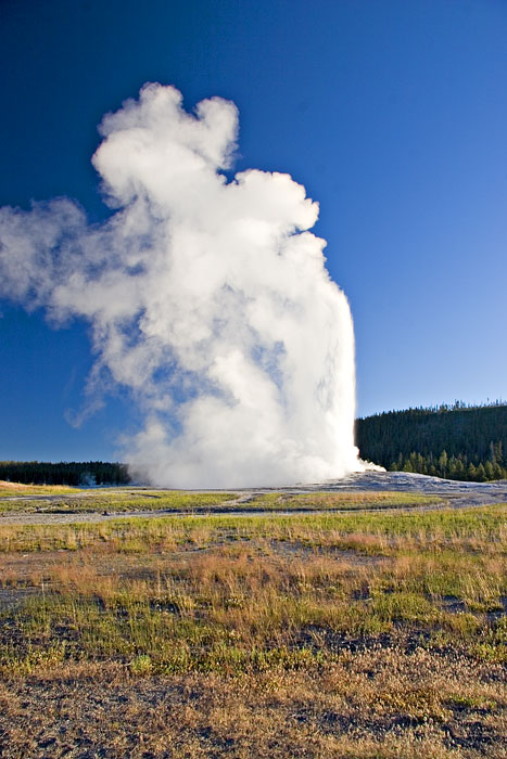 [Old Faithful Geyser]