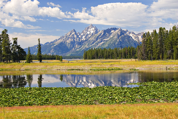 [Tetons and Heron Pond]