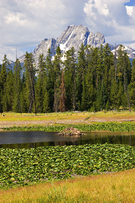 [Mt. Moran and Beaver Lodge]