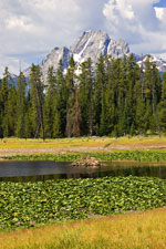 Mt. Moran and Beaver Lodge