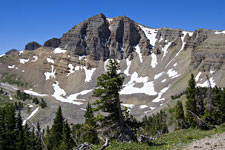 Cody Bowl: From the Top