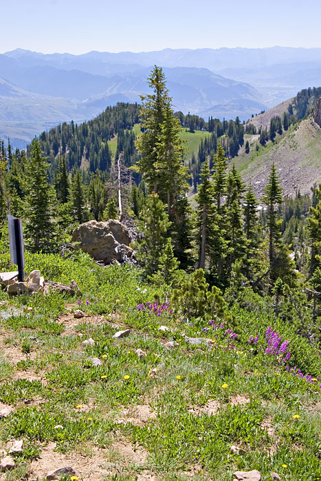 [View from Rendezvous Mountain]