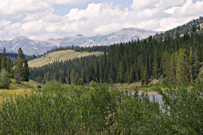 [Hoback Canyon]