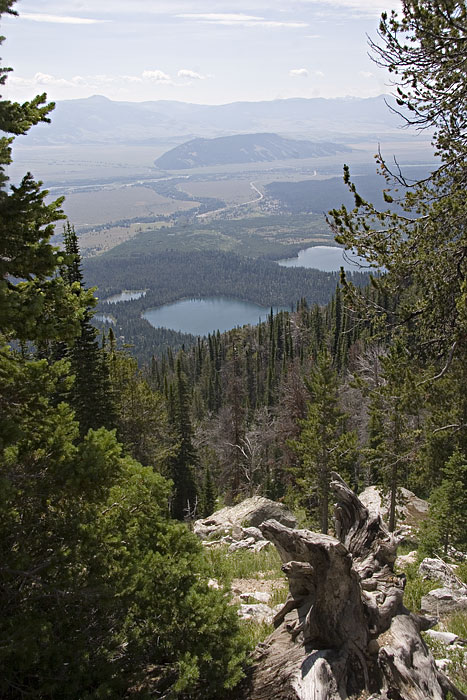 [Bradley and Taggart Lakes]